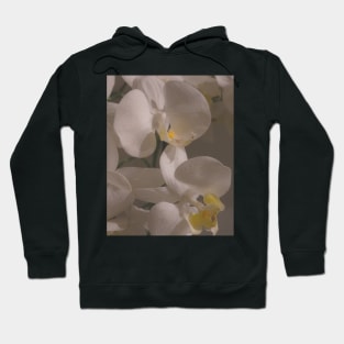 White orchids flowers Hoodie